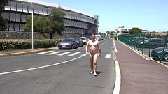 Walking around Naked in Public Thumb